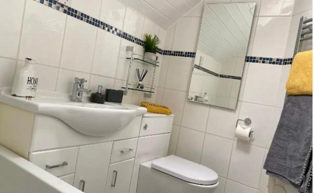 Cotswolds Lakeside Lodge - Nesbitt'S Nest South Cerney Luaran gambar